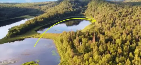 Remote 4-Acre Wolverine Lake Parcel