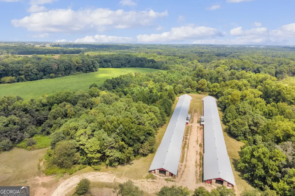 Picture 34