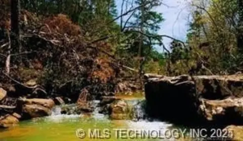 Raw Land in San Bois Mountains