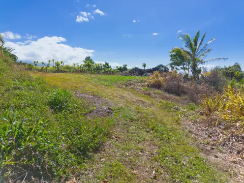 South Kona Farmland with Views