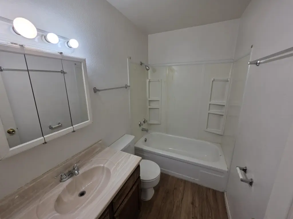 Picture 17
