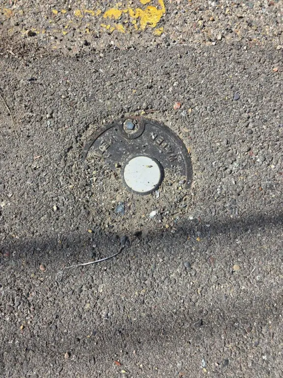 Picture 10