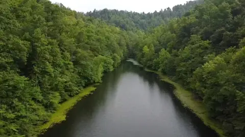 241 Acres Ideal Outdoor Retreat