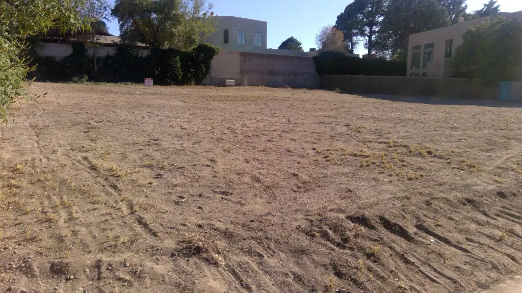 Picture 2