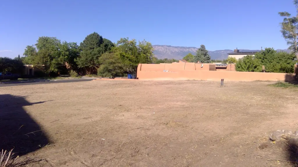 Picture 5