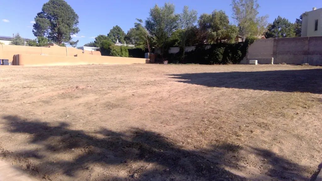 Picture 3
