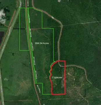 Louisiana Hunting/Development Land