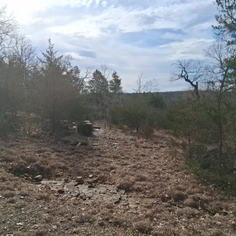 Picture 21