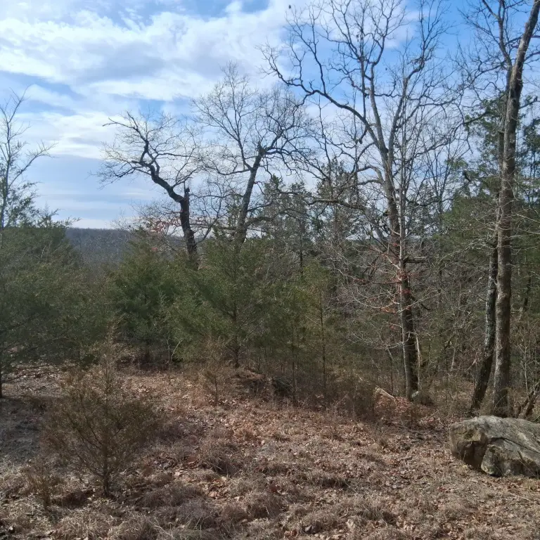 Picture 2