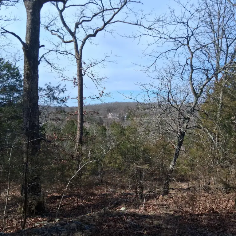 Picture 2