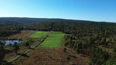 Secluded Land with Hunting Potential