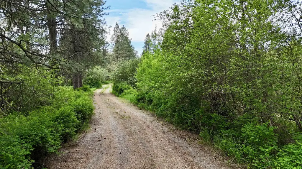 Picture 35