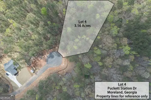Moreland, GA Three-Acre Lot