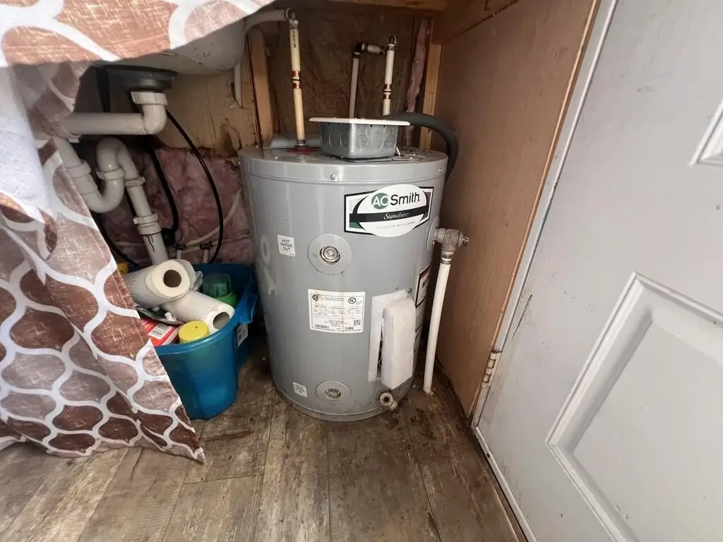Picture 19