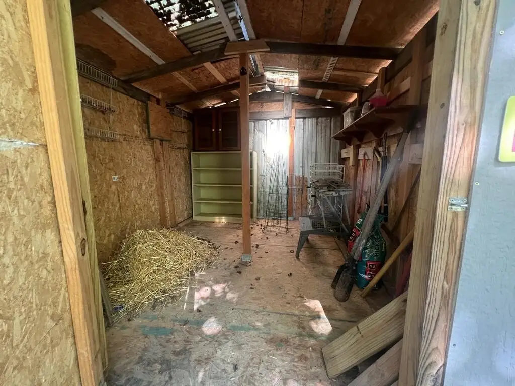 Picture 36