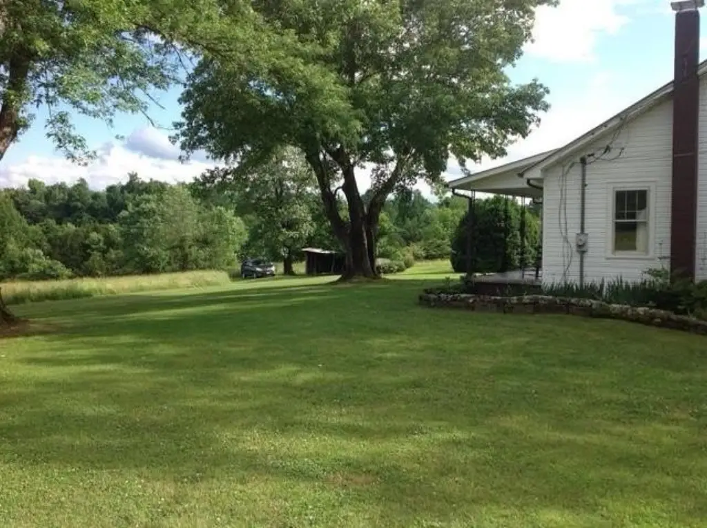 Picture 46