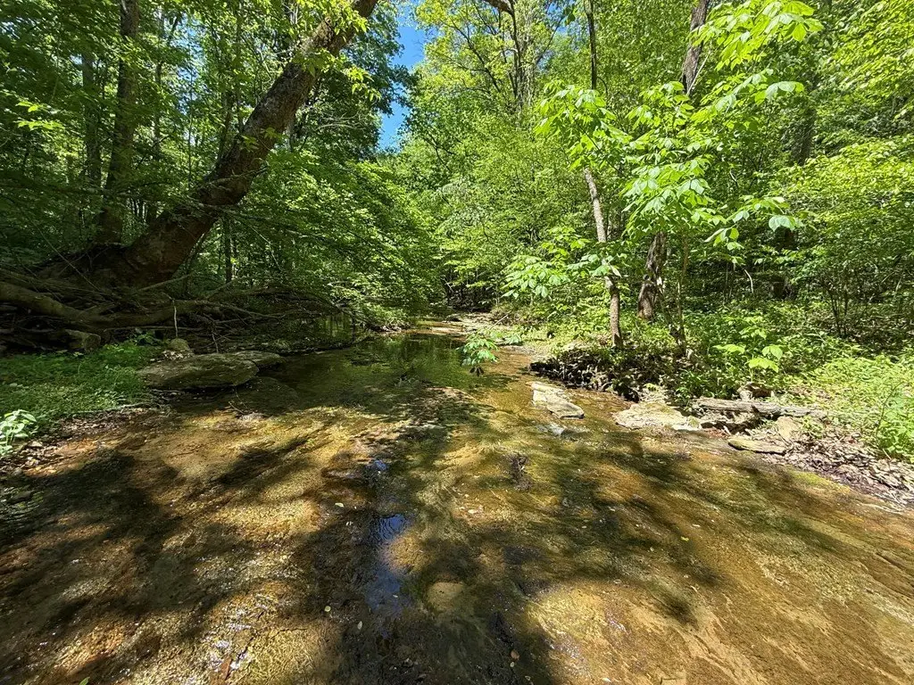 Picture 39