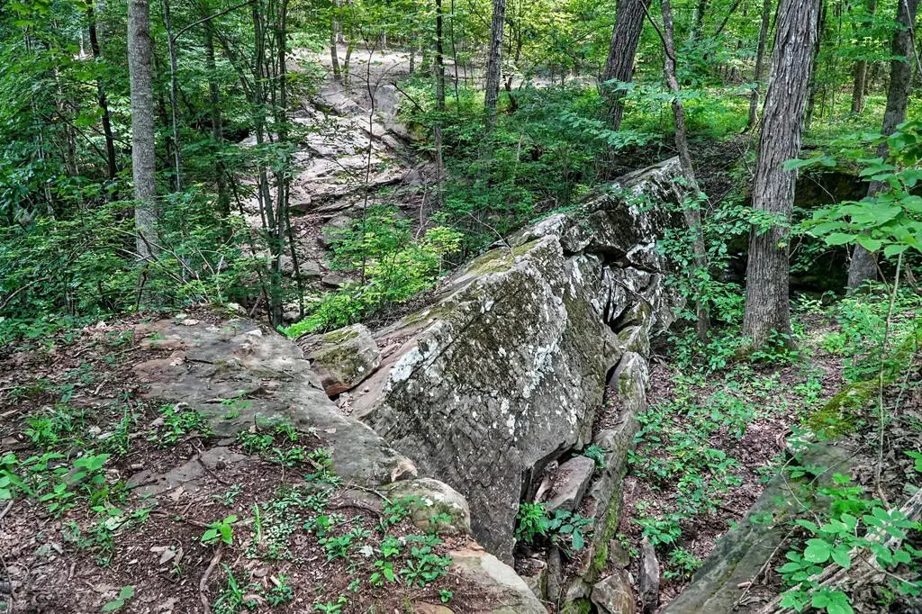 Picture 30
