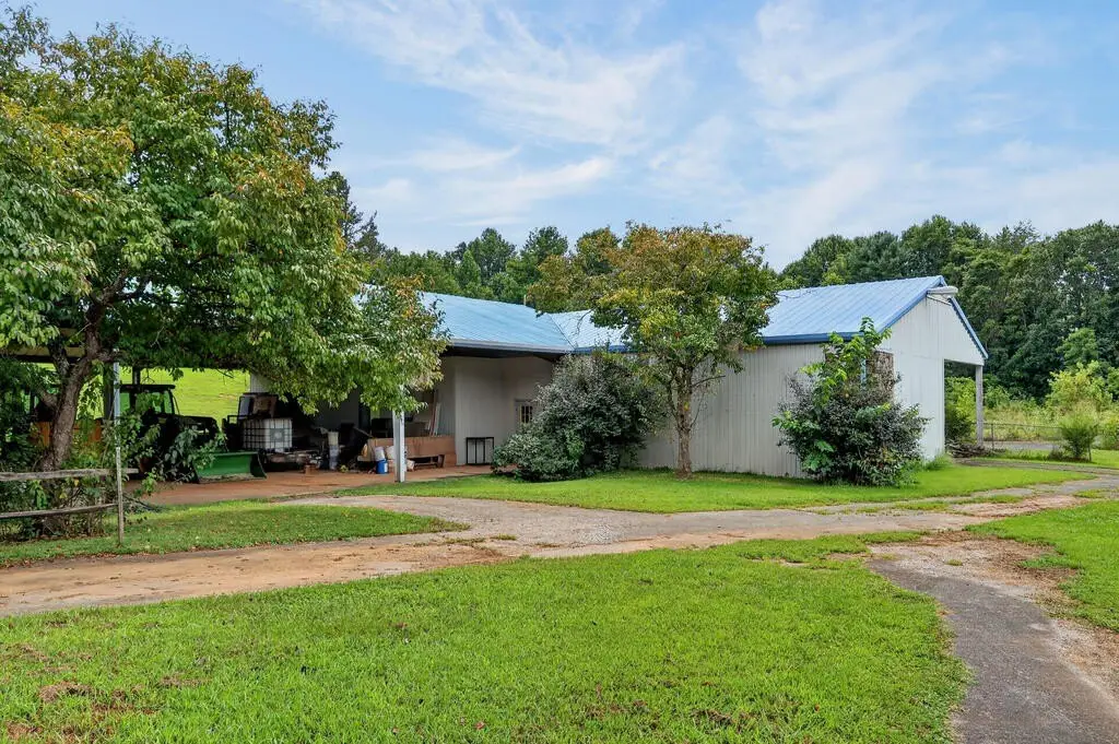 Picture 20