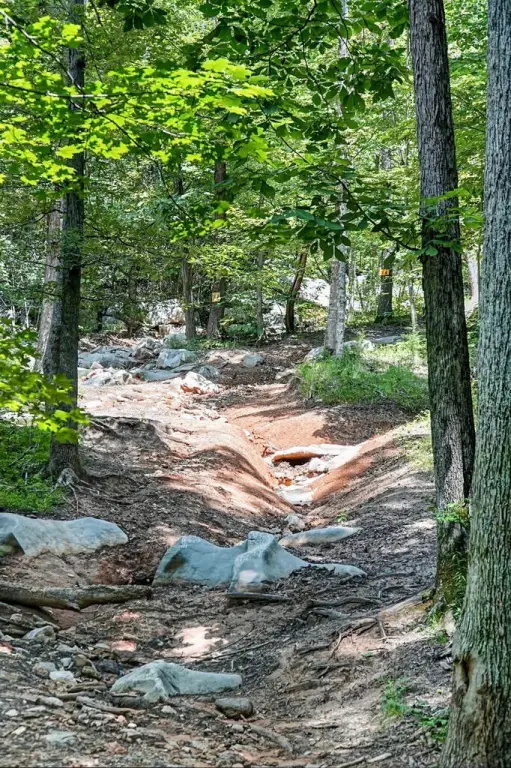 Picture 23