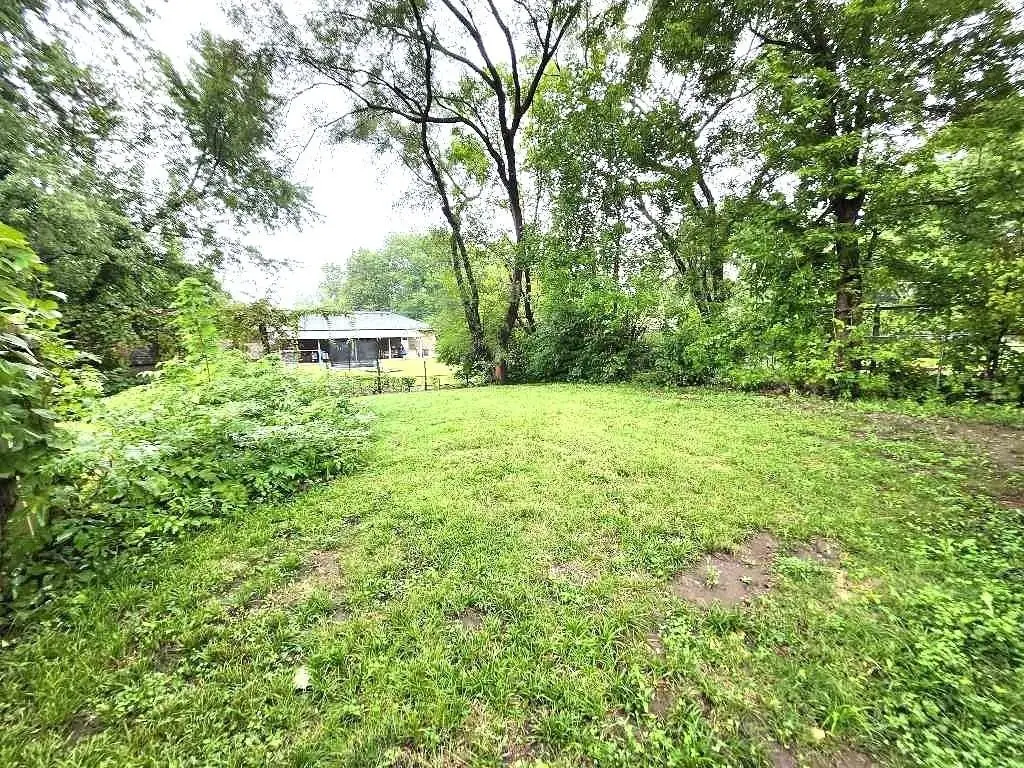 Picture 23