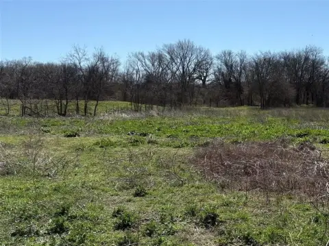 Ag-Exempt Land Near Sulphur Springs