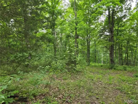 Wooded Land in Wright City