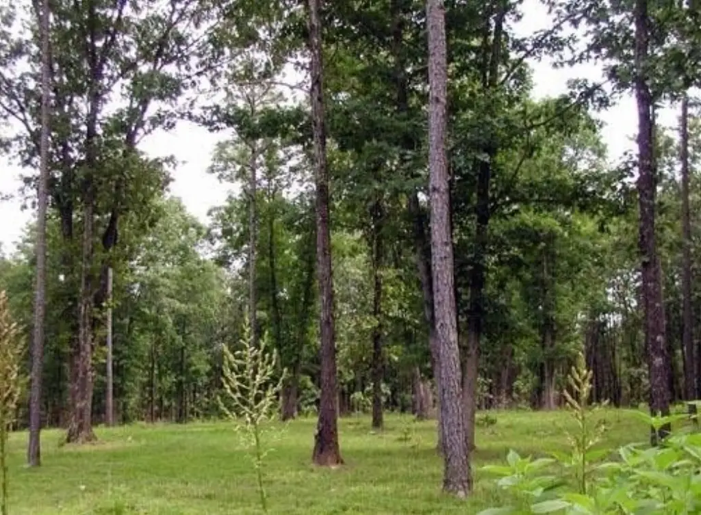 Picture 4