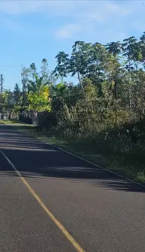 Land in Growing Ainaloa Subdivision