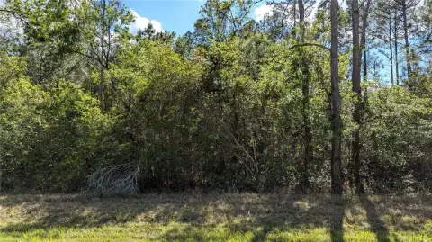 7.55 Acres Wooded Land Waldo