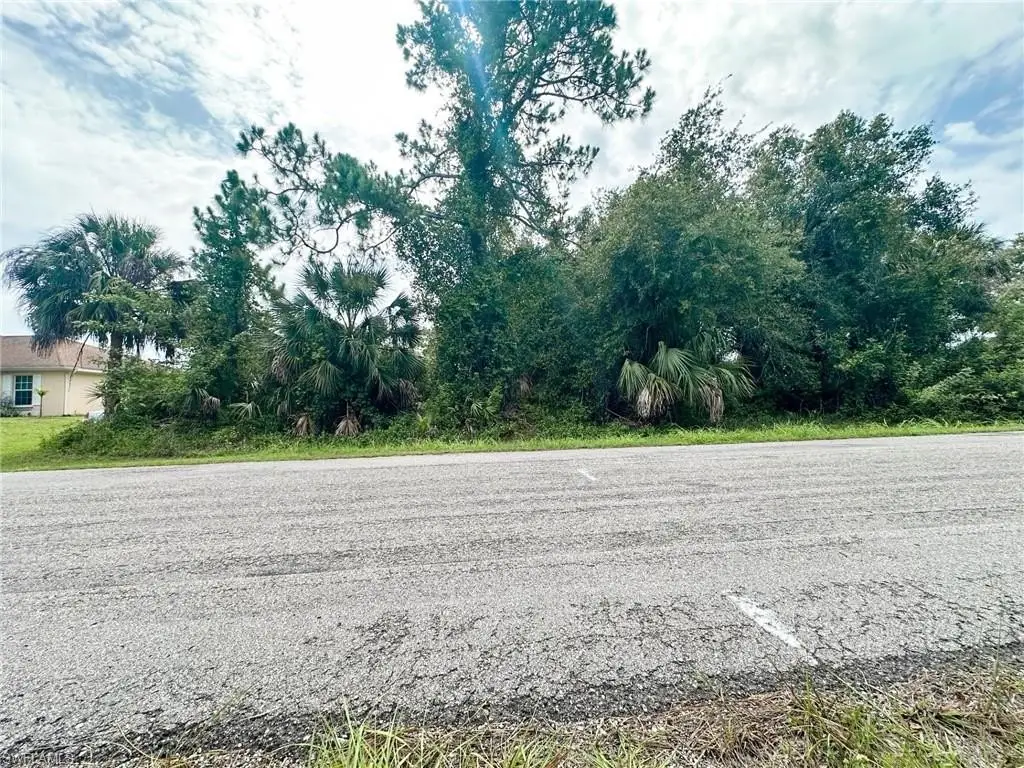 Picture 23
