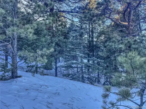 Cripple Creek Mountain Estates Land
