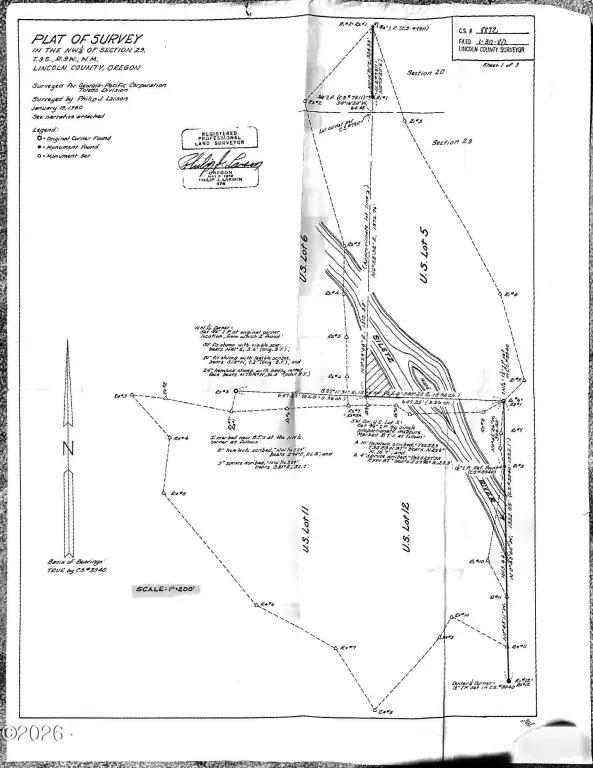 Picture 14