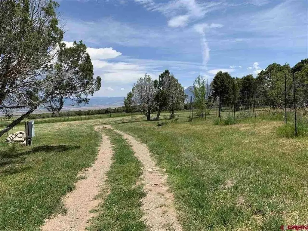 Picture 41