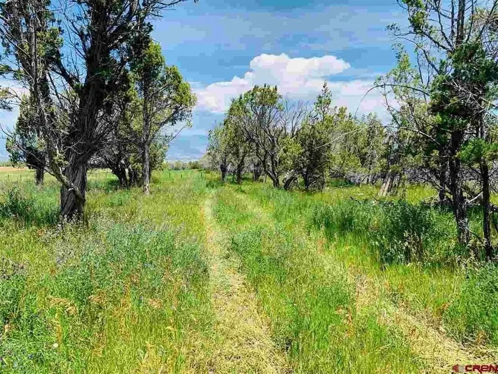 Picture 39