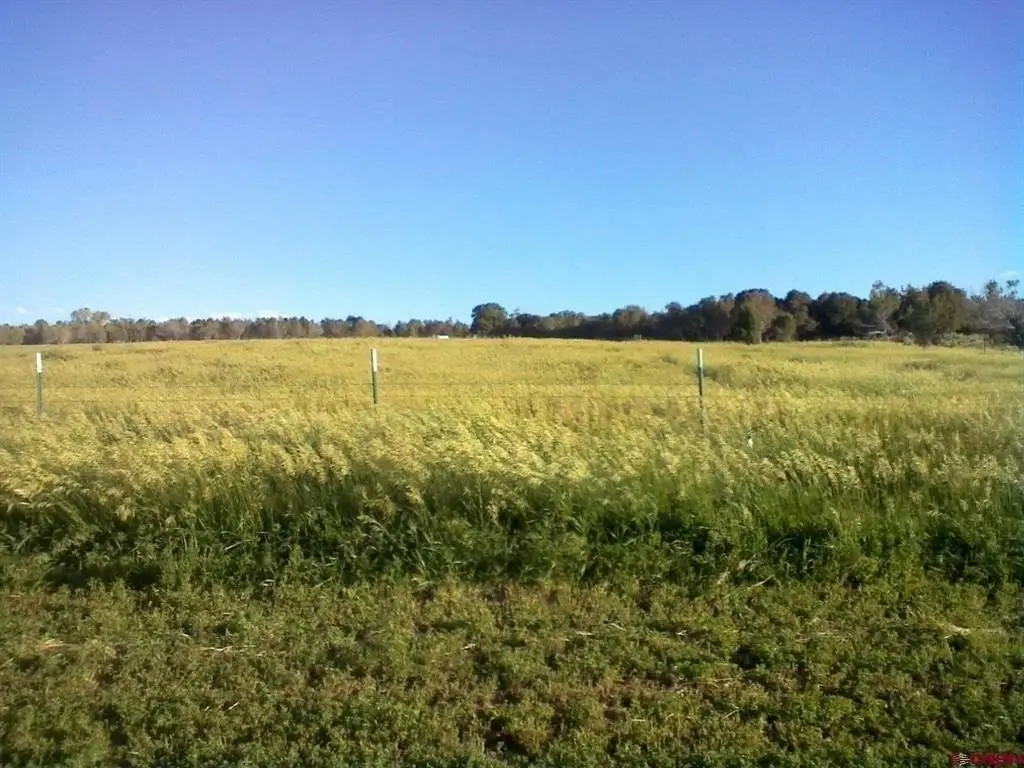 Picture 42