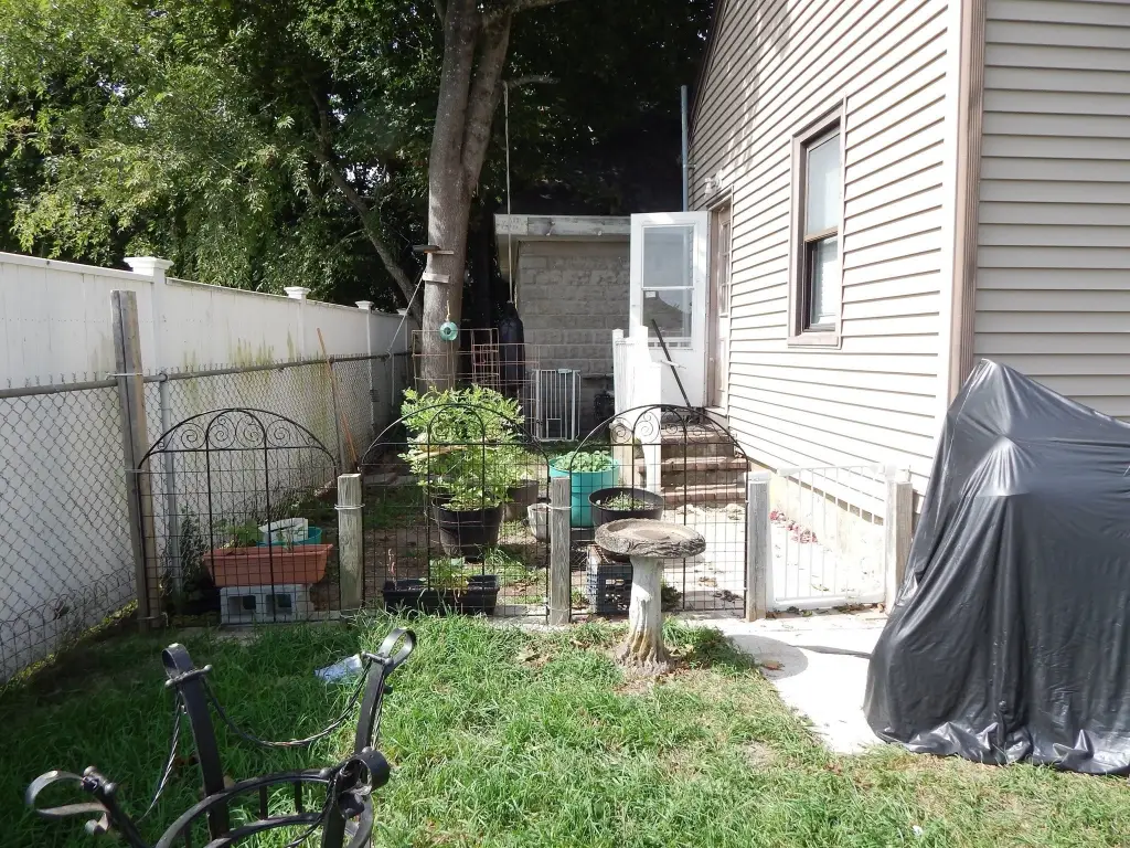 Picture 15