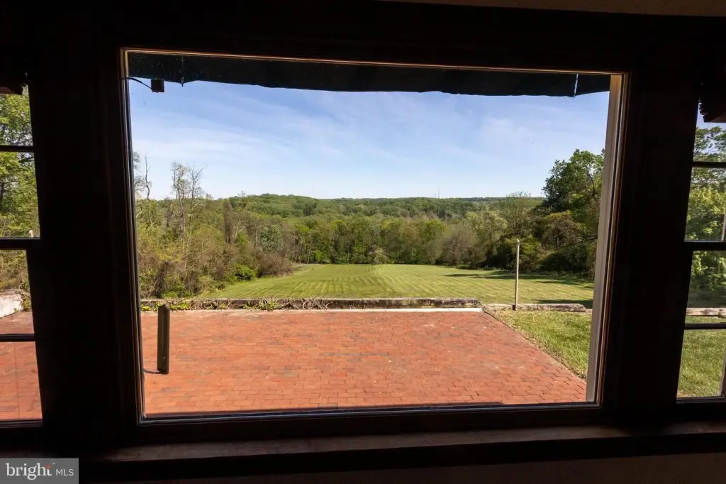 Picture 8
