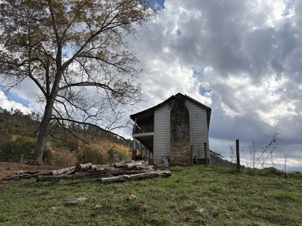 Picture 8