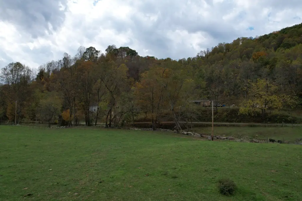 Picture 28