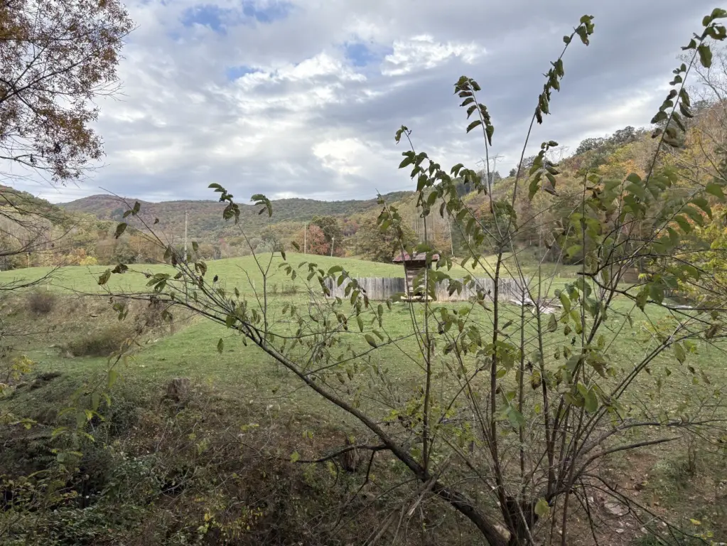 Picture 31