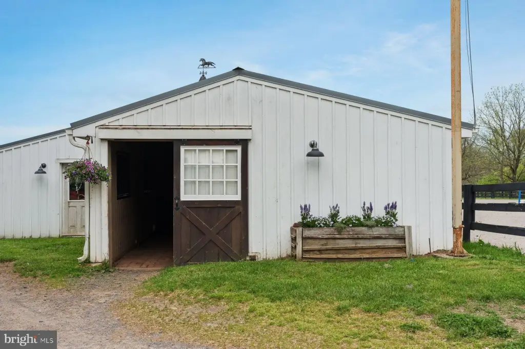 Picture 24