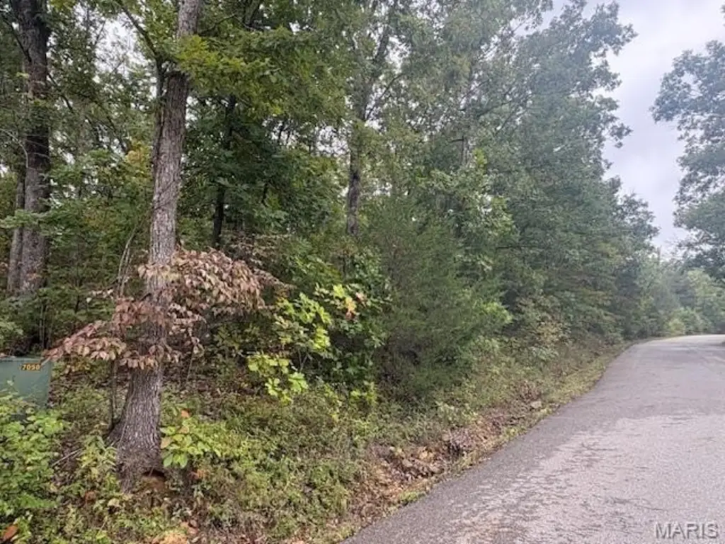 Picture 3