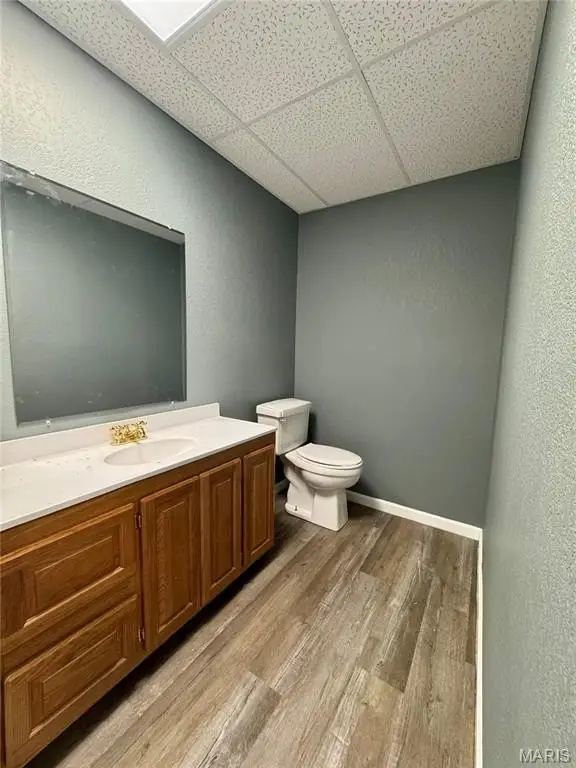 Picture 5