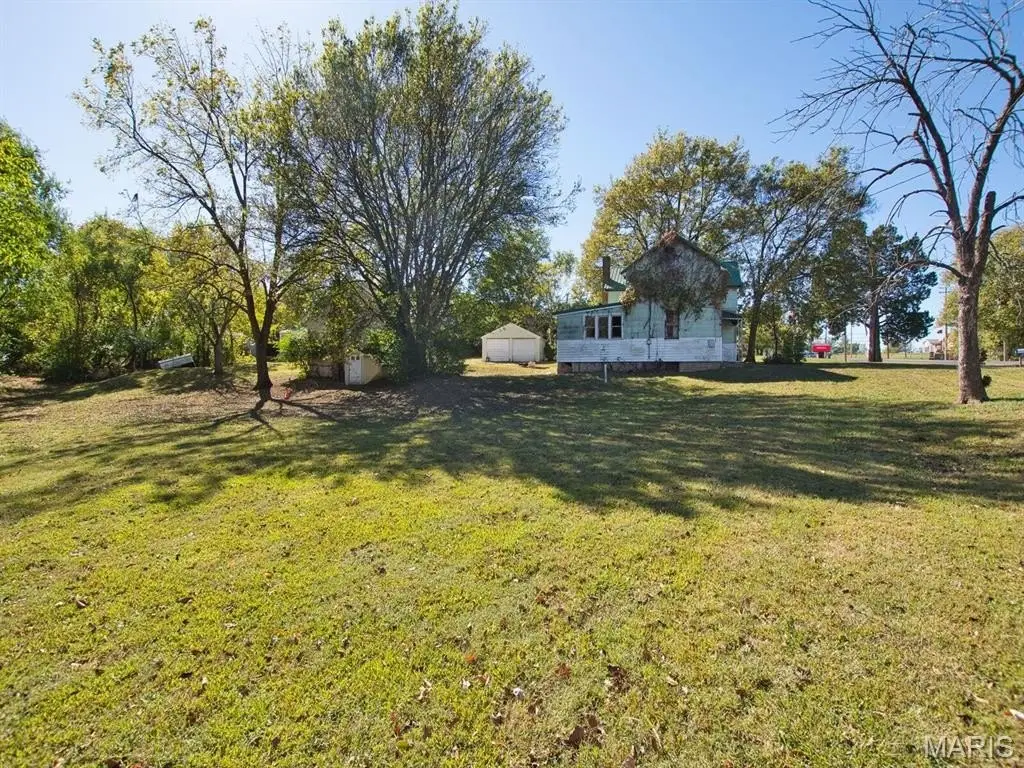Picture 15