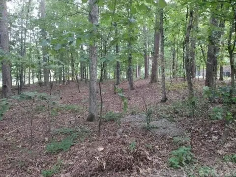 Hot Springs Village Subdivision Lot