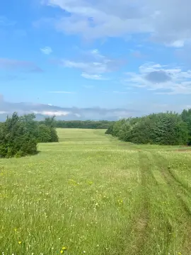 High-Traffic Commercial Development Land