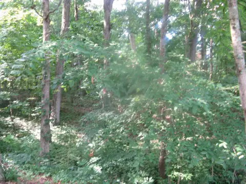 Wooded Land in Santa Claus