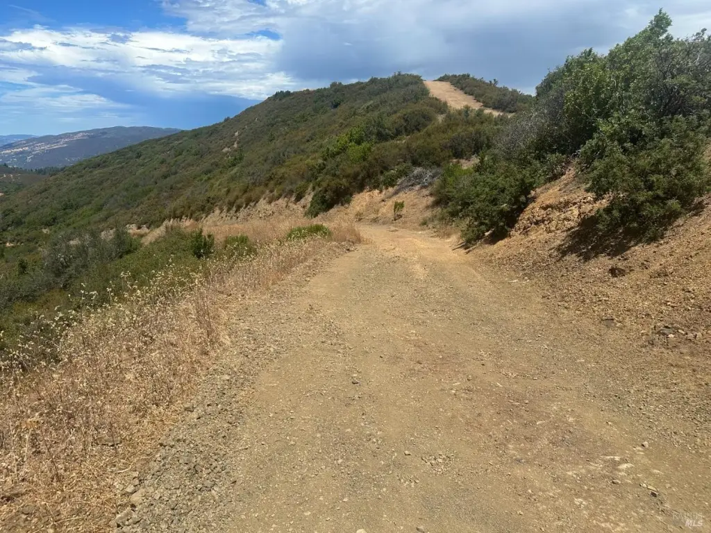 Picture 13