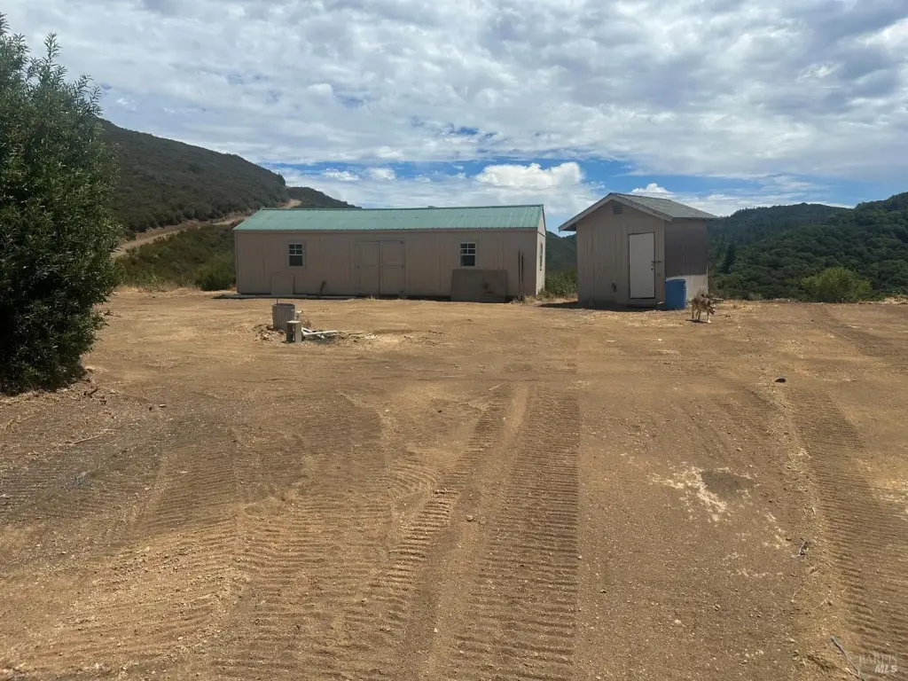 Picture 6